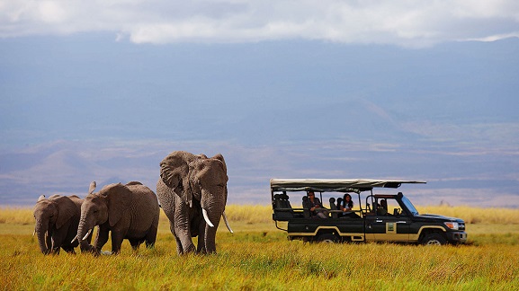 Game-Drive-in-Amboseli-National-Park (1)