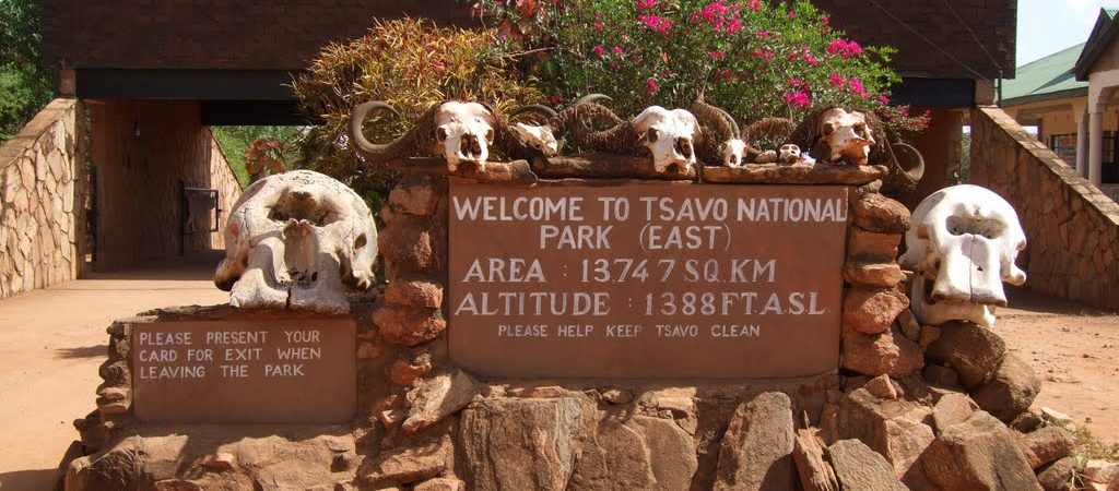 Tsavo East National Park fees