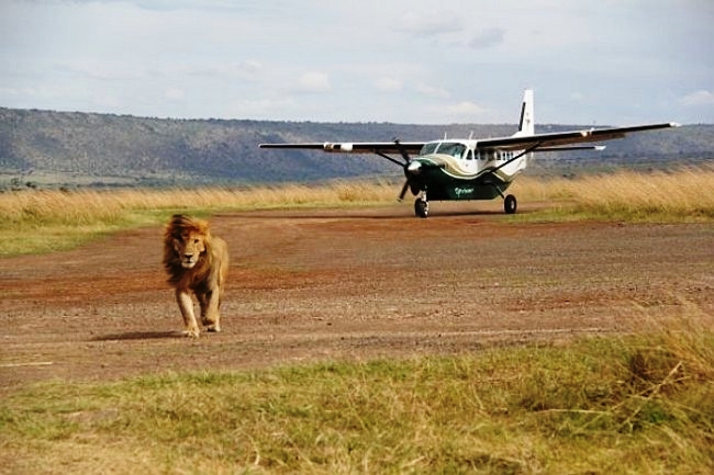3 Days Masai Mara Flying Safari