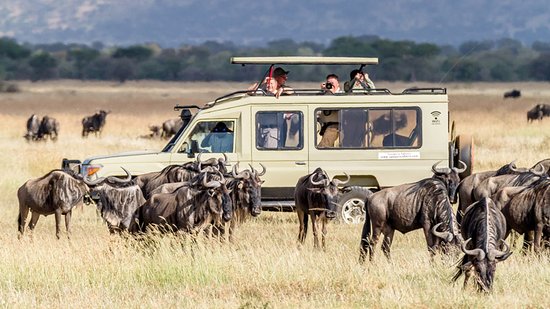 4 Days Serengeti & Ngorongoro crater safari 