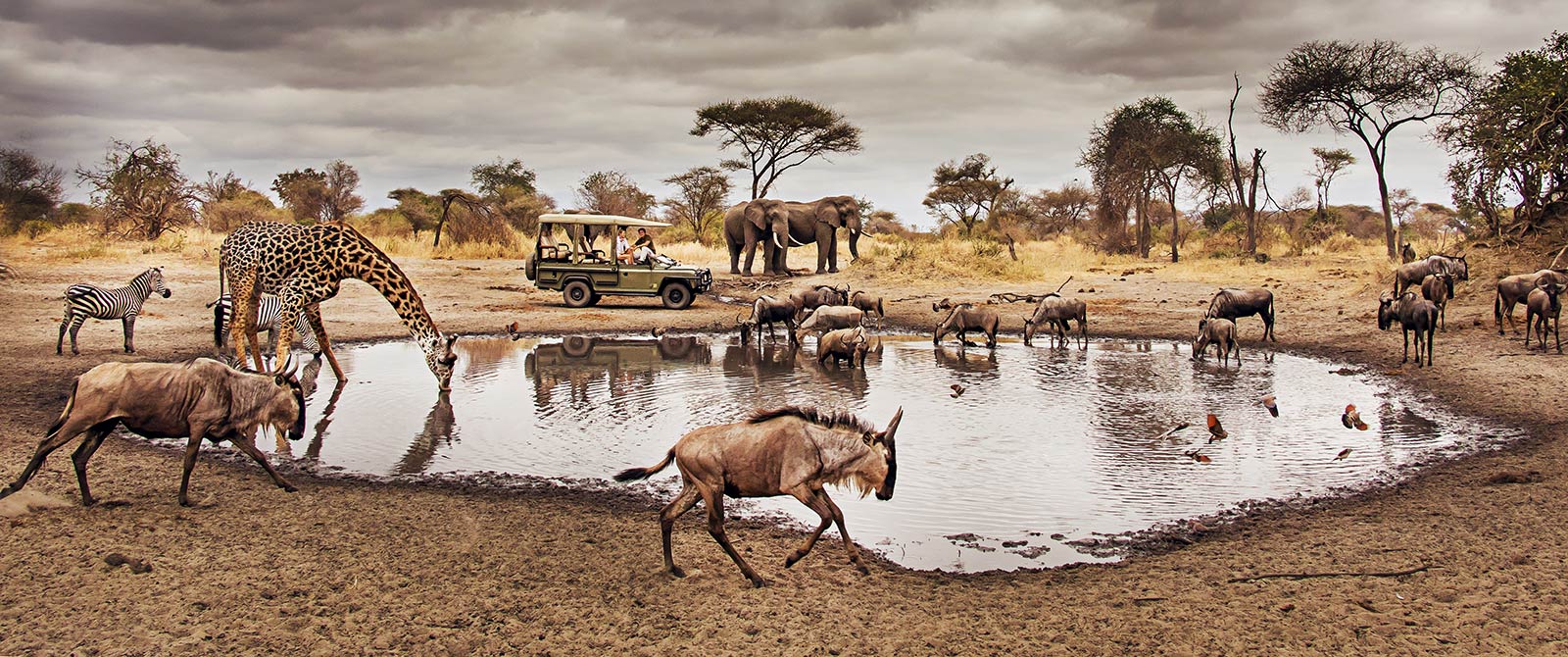 Serengeti Game drives