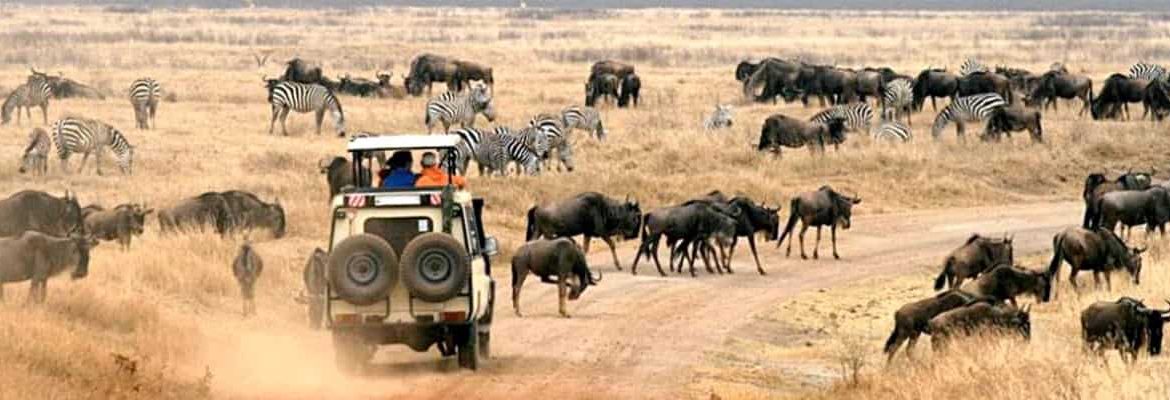 5 days Masai Mara wildebeest migration safari