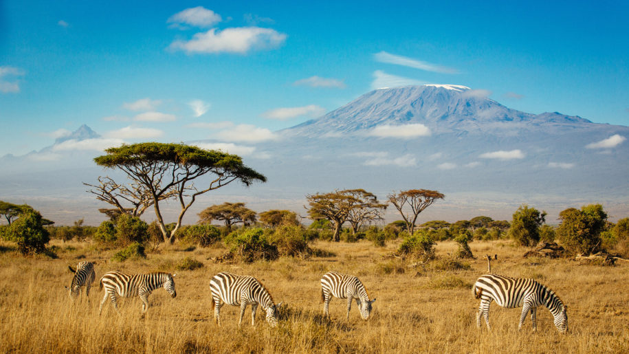 Tourist Attractions in Amboseli National Park