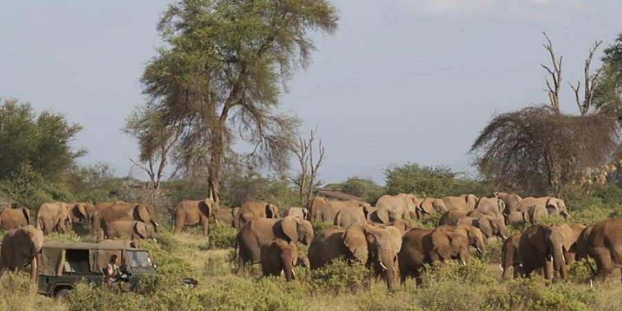 3 Days Samburu Wildlife & Cultural safari