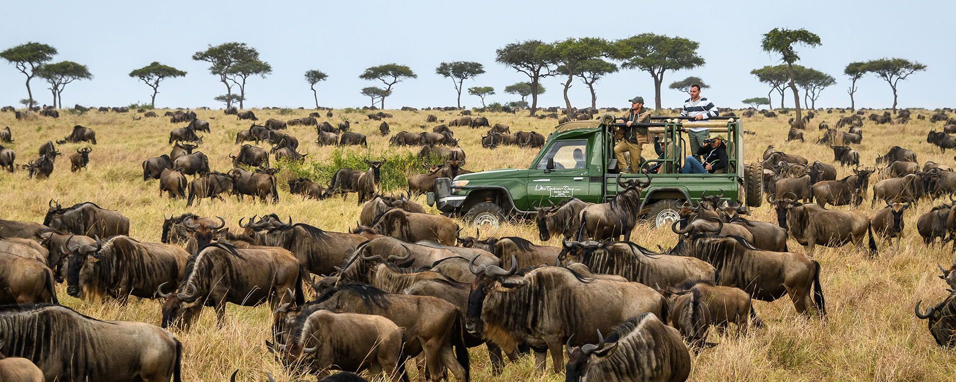 Watching the great wildebeest migration