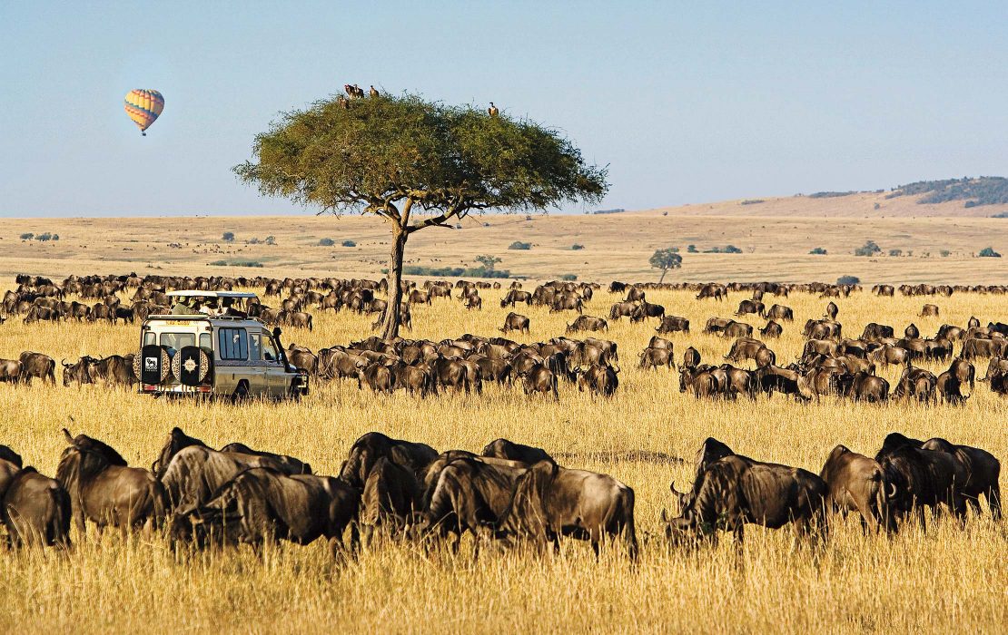Maasai Mara national reserve,