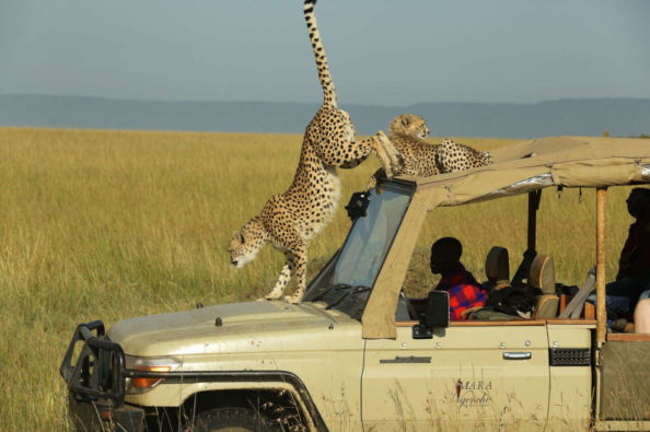 How to get to Maasai mara national reserve