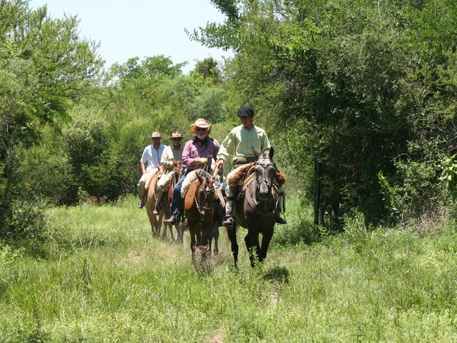 Horseback Riding in Aberdare National Park 2022