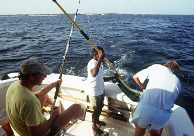 Deep Sea Fishing Safari at Diani