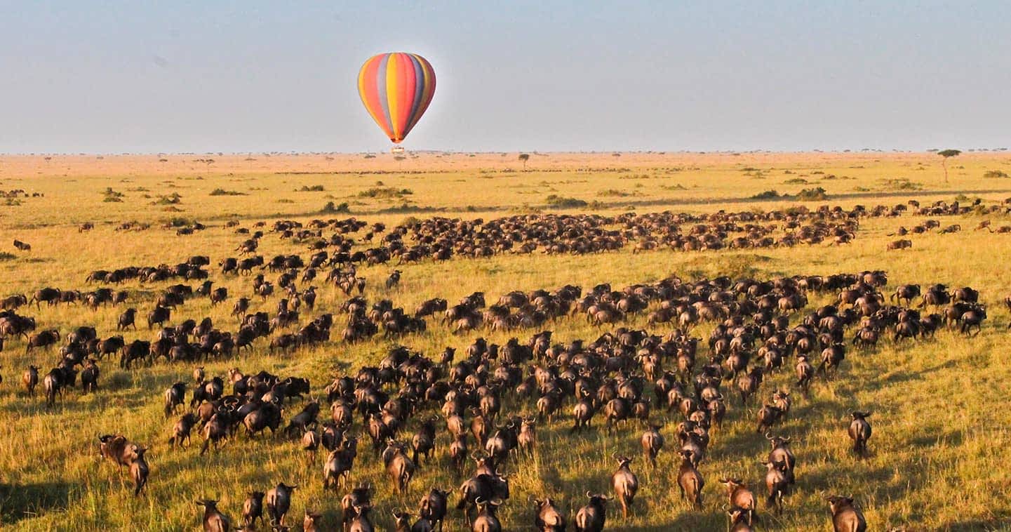 Maasai Mara Hot Air Balloon safari